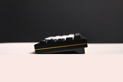 NEWONE Odyssey60