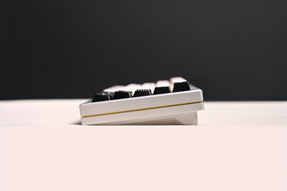 NEWONE Odyssey60